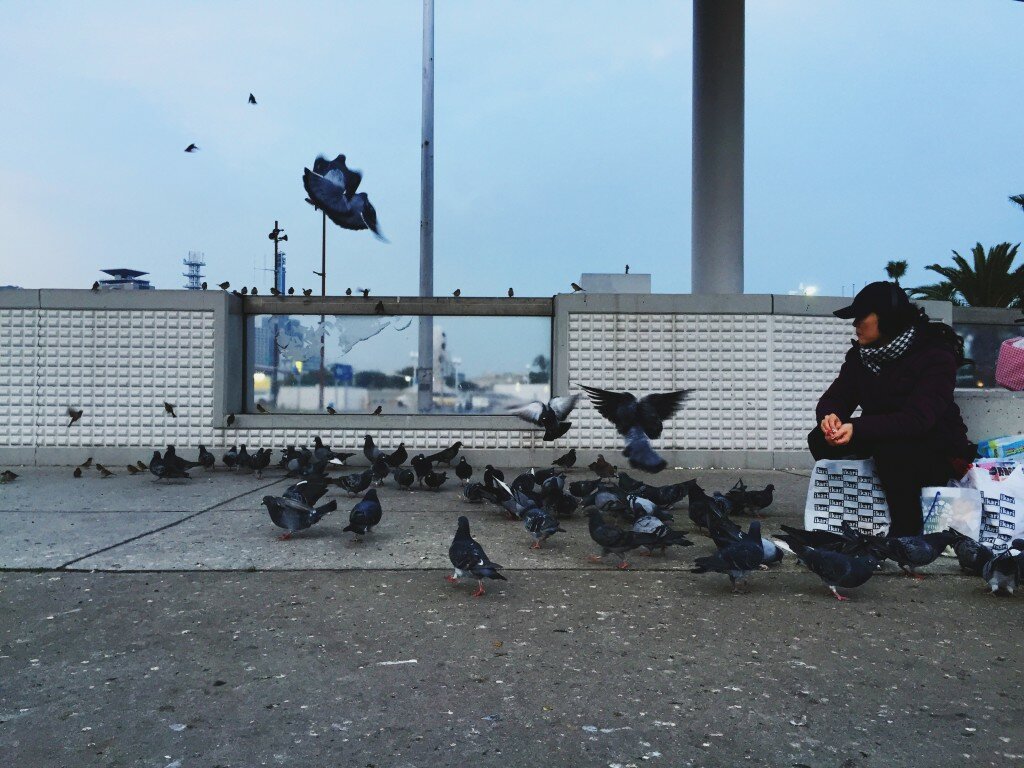 Processed with VSCOcam with 4 preset