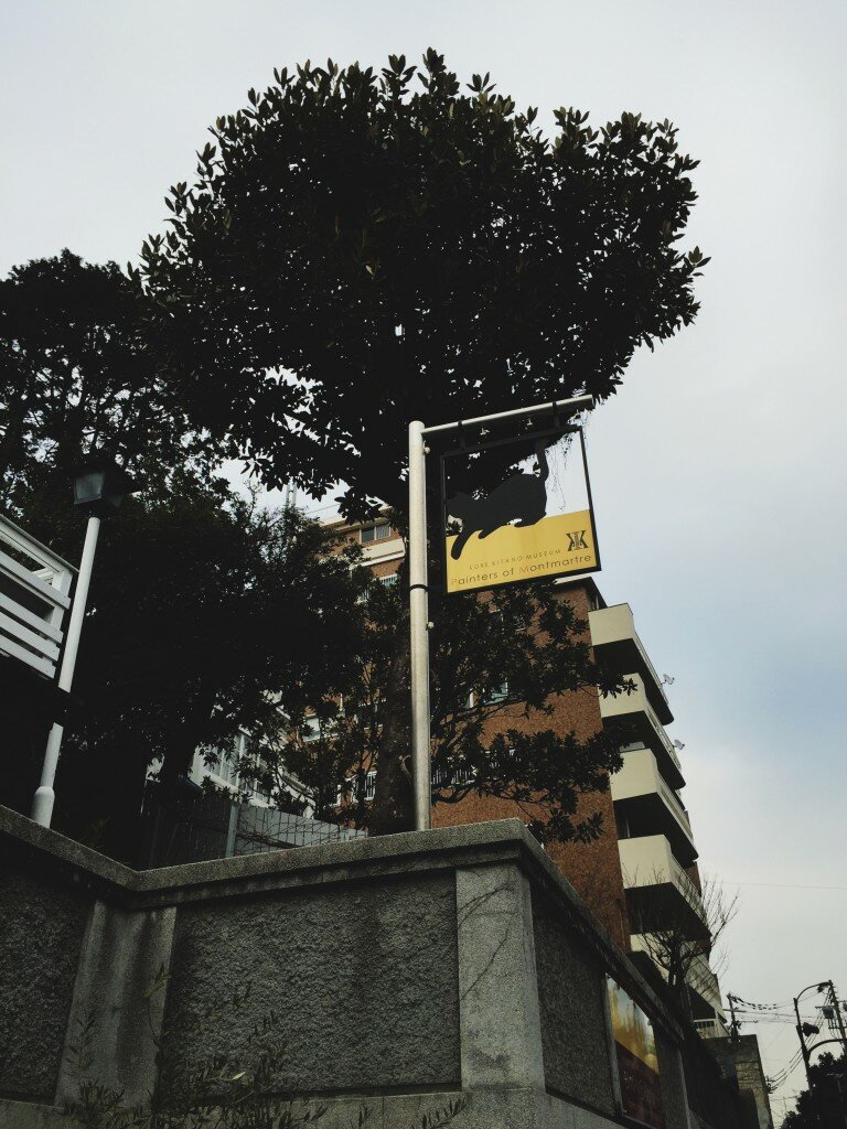 Processed with VSCOcam with 4 preset