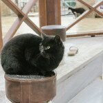 Bursa’s Grand Mosque and the Silk Market