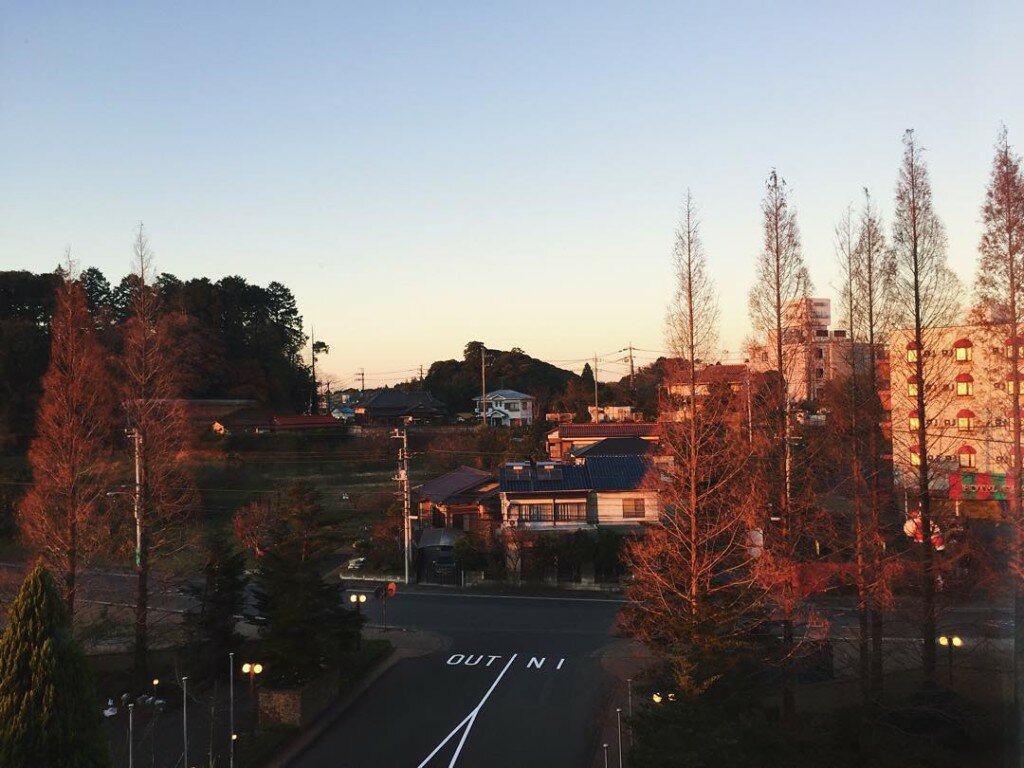 Winter sunset in Narita Japanese sunsets are always so gorgeoushellip